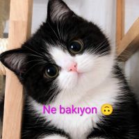 RuBaR